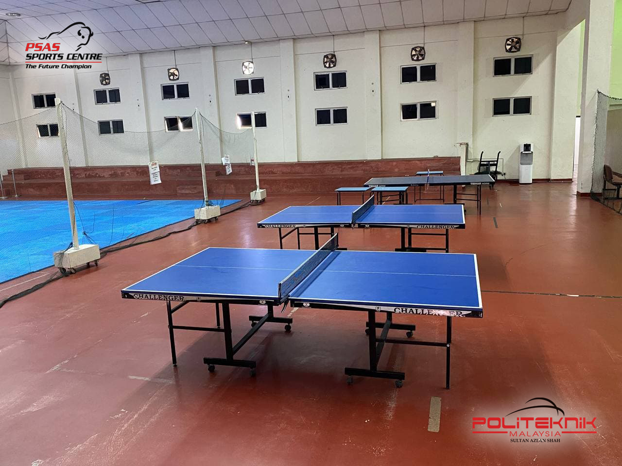 Ping Pong