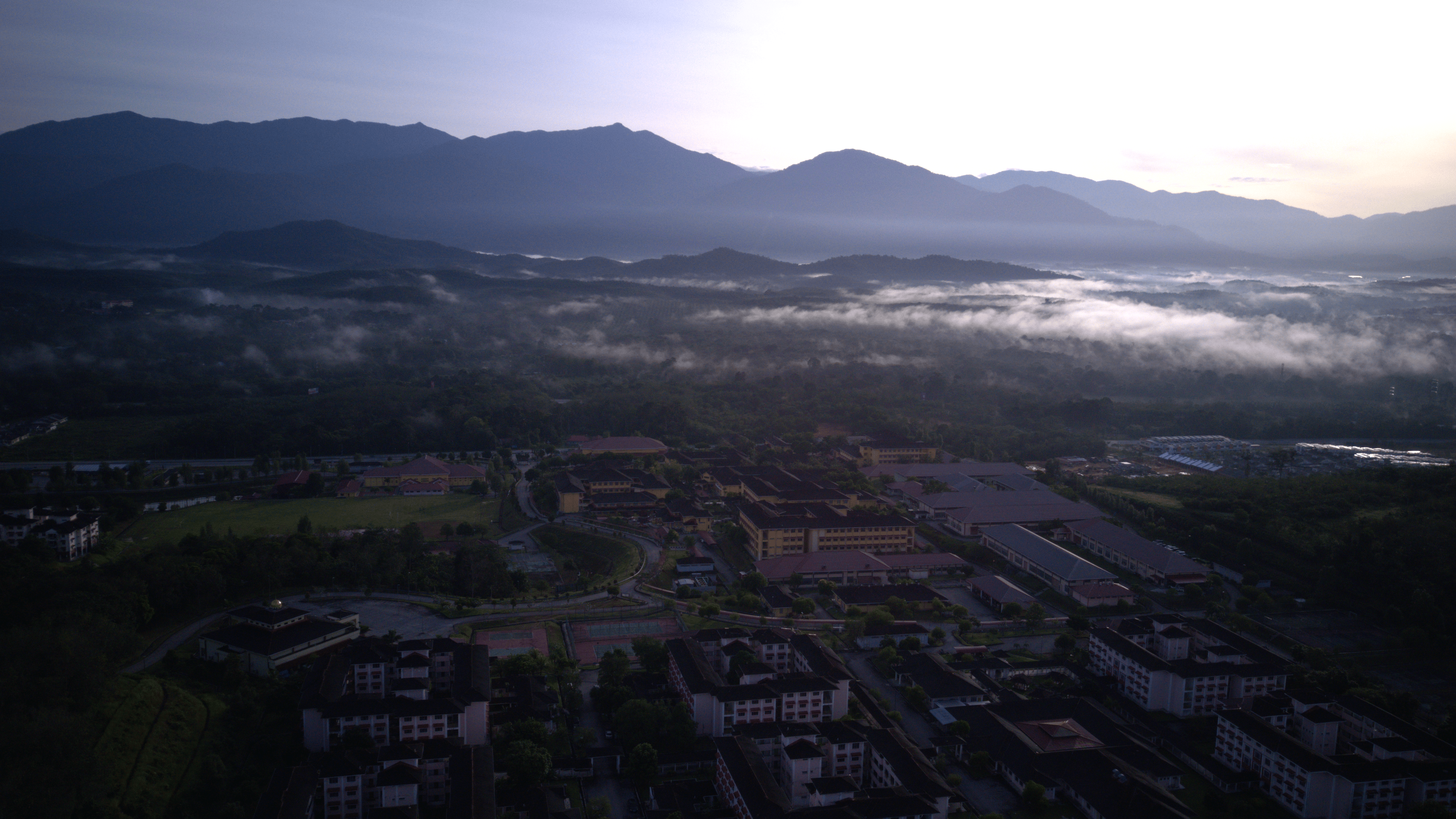 psas view1